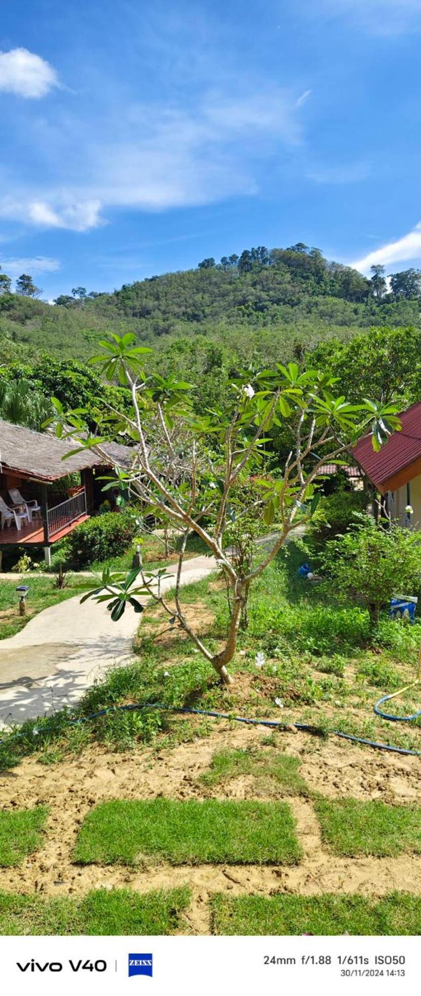 Mookies Bungalows Ko Mook Bagian luar foto